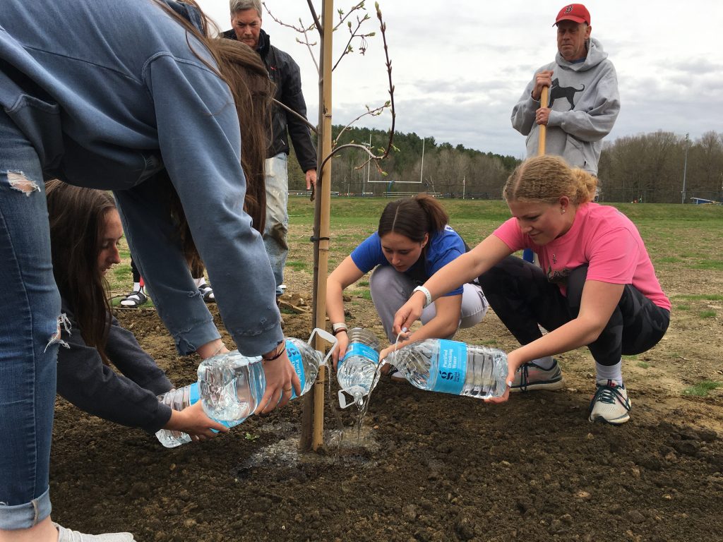 Teen Rotary Interact Tree Planting 1