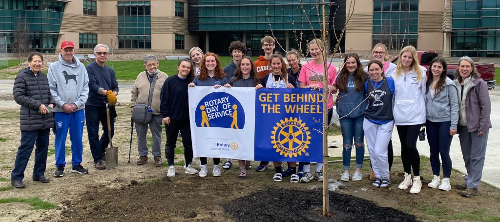 Teen rotary interact tree planting