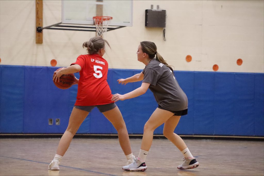 youth sports basketball house league3