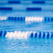 Web_Image_Otters_SwimTeam_DaltonOtters_PoolLanes_CompetitiveSwimming_Competition