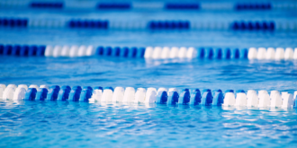 Web_Image_Otters_SwimTeam_DaltonOtters_PoolLanes_CompetitiveSwimming_Competition