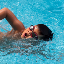 Web_Image_Otters_SwimTeam_DaltonOtters_YouthSwimming_CompetitiveSwimming_Competition